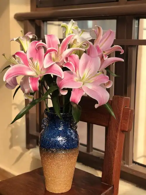 罗宾娜双头百合,5支就一瓶哦!