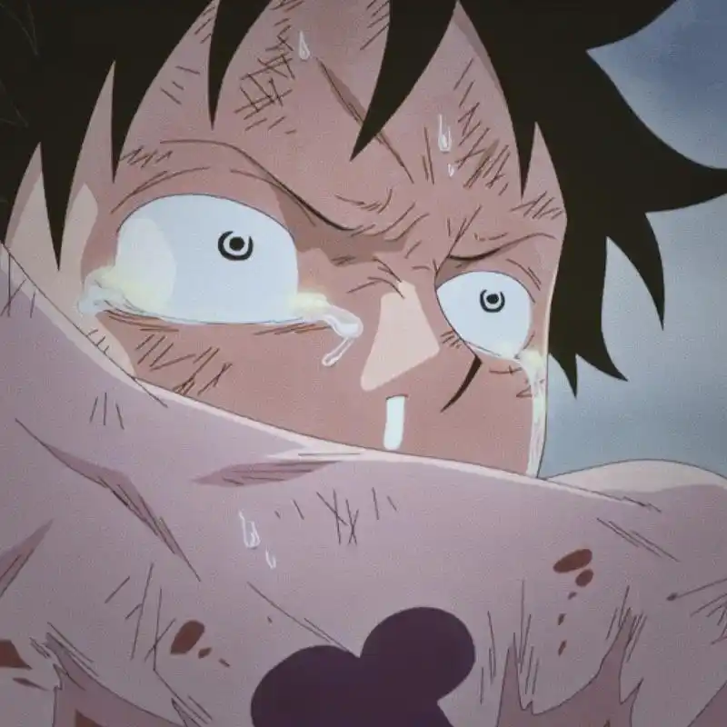 海贼王中路飞最伤心的一次