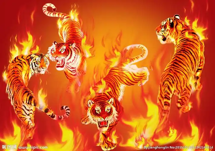 烈焰猛虎图片