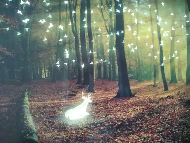 流萤森林之银鹿与月亮