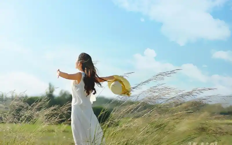 夏天的风摄影壁纸