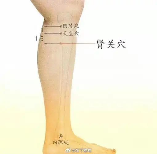 减少肾脏损伤:按摩肾关穴