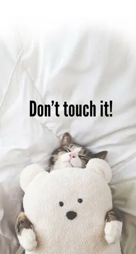 别动朕手机…【自制壁纸】