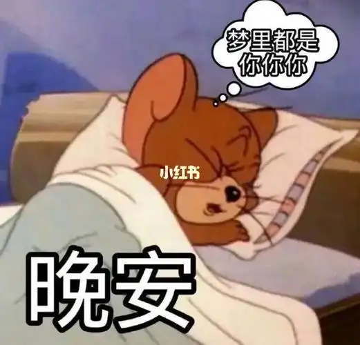 晚安表情包合集