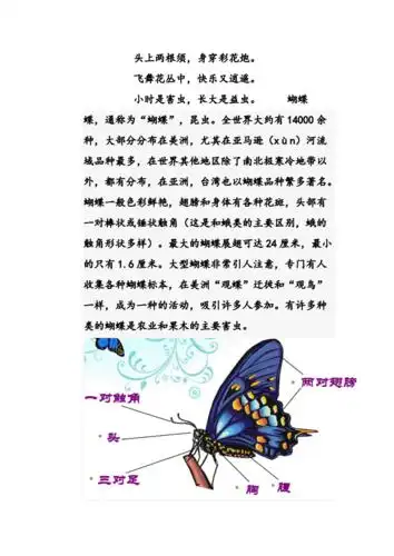 小学生自然科学课之蝴蝶.docx