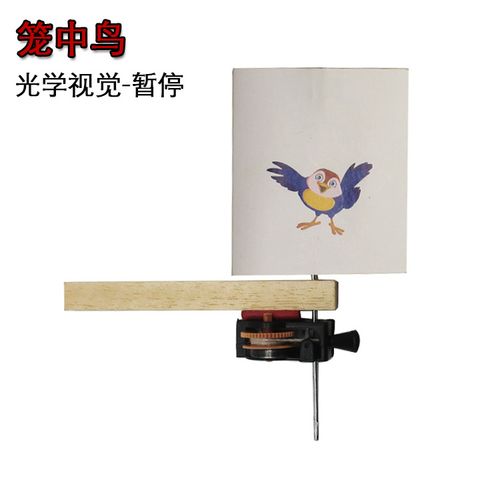 科技小制作 笼中鸟 视觉暂留 小发明 青少年培训器材 diy玩具实验
