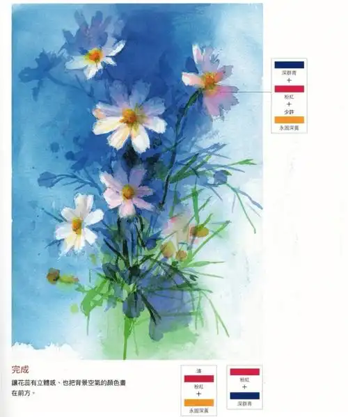 永山裕子波斯菊花卉水彩步骤图