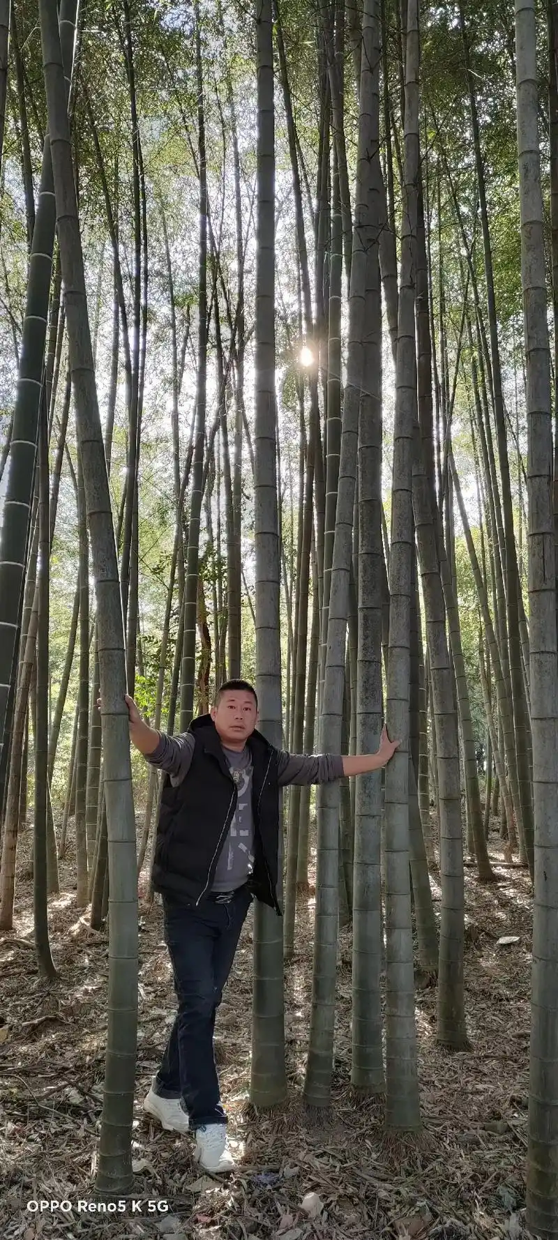 一个人要活的潇洒,它是一种与世无争的大度,淡看过往,潇洒,是 - 抖音