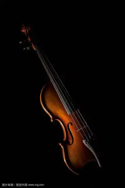 小提琴 - 堆糖,美图壁纸兴趣社区