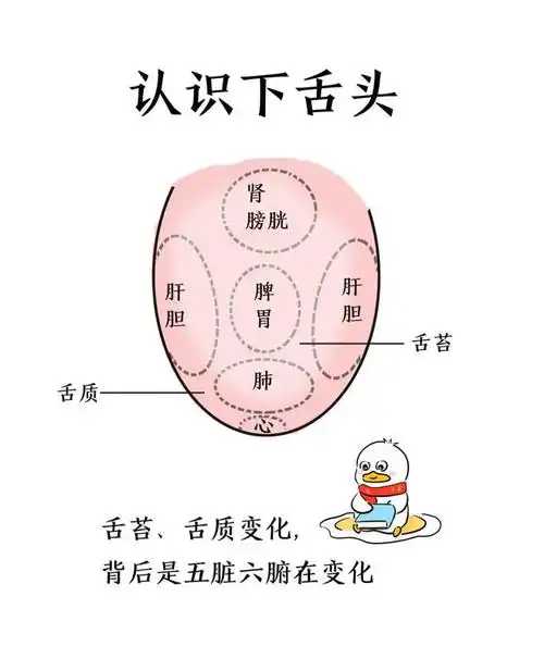 中医育儿如何通过孩子的舌苔了解孩子的健康状况