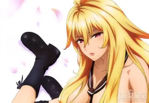 瓦尔基里drive壁纸