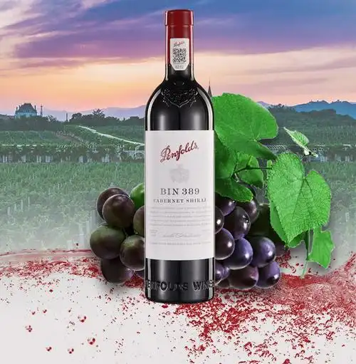 奔富红酒bin系列389407798澳大利亚原装进口红葡萄酒bin798rwt2支礼盒