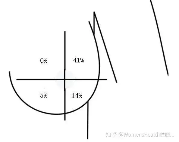 差不多有一半的乳腺癌发生在乳房的外上象限至腋窝部分.
