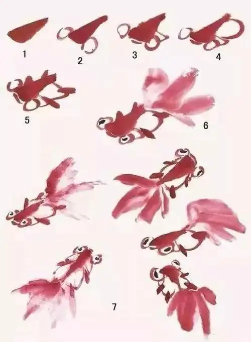 7.不同姿态的金鱼的画法6.