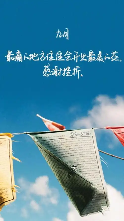 经典心情短语老姜辣味大老人经验多