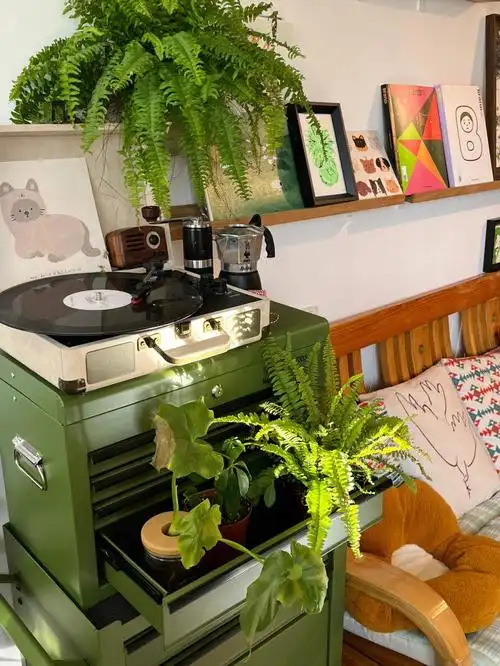 平时拿来收纳颜料,装修工具,花艺资材好方便喔主要还是墨绿色的增添