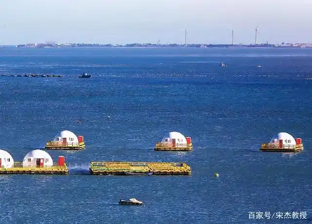 中国正式实施公海自主休渔,有几个法律问题需要注意?