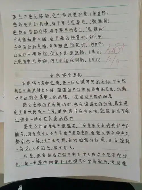陈庄小学六二班学生作文——《我的语文老师》(写写对老师的初步印象)