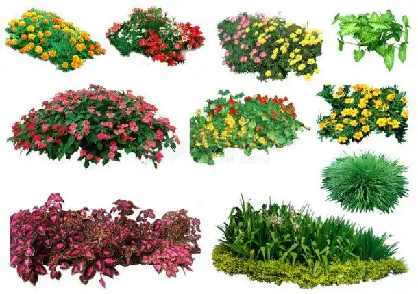 ps后期花草素材