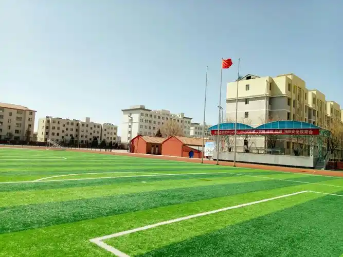 摄影 职中的操场 如诗如画