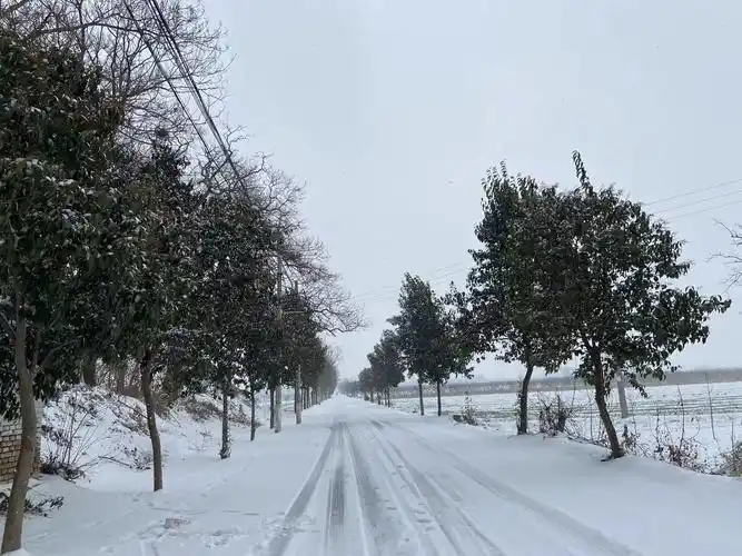 冬天要来了呢#农村雪景 - 抖音
