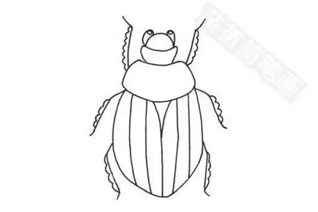 甲虫简笔画图片大全教程甲虫怎么画简笔画图解