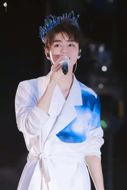 王俊凯 无边界演唱会