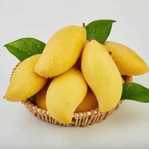 鹰嘴芒热带新鲜水果芒果缅甸进口鹰嘴芒5斤