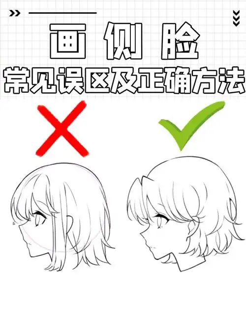 画画新手画脸型的常见误区萌新注意避坑