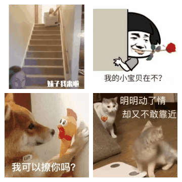 搞笑gif趣图逗女朋友没点办法哪行8个表情包4个搞笑动图祝你美梦成真