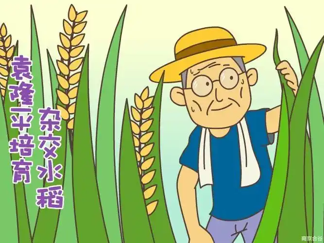 【星猫doremi睡前故事】袁隆平培育杂交水稻