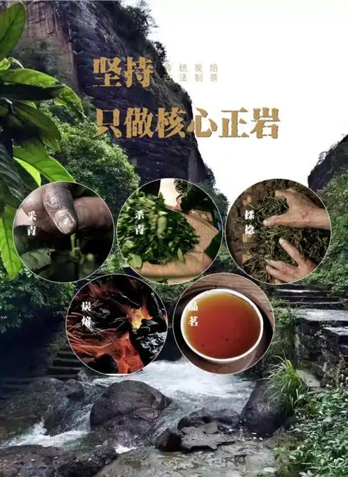 皇御茗 天心明月 武夷岩茶 观窠水仙125g