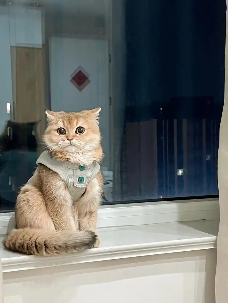 咘咘宝宝真漂亮 - 抖音