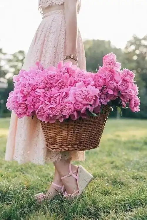 在不完美的世界里,淡然释然,微笑的样子,才是人生最美的风景