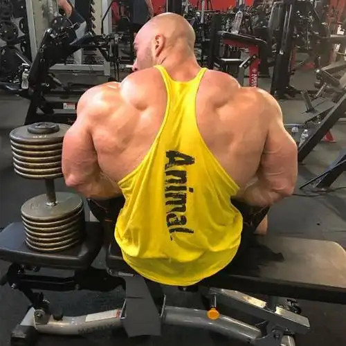 身高188cm,体重330磅,强壮的背部肌肉,极具视觉冲击