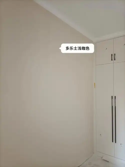 多乐士浅咖成功啦