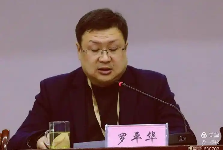 陕西省美容美发协会副会长兼副技术总监,汉中美容美发协会副会长,西乡