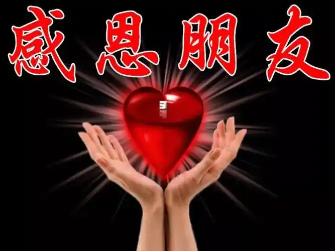 感恩朋友感谢你的关怀, 感谢你的帮助,感谢你对我做的一切……在这个