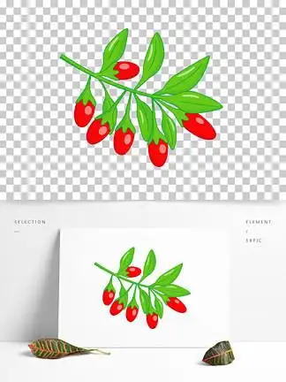 矢量枸杞 i>卡 /i> i>通 /i>枸杞简笔画 i>农 /i> i>场 /i>枸杞插画