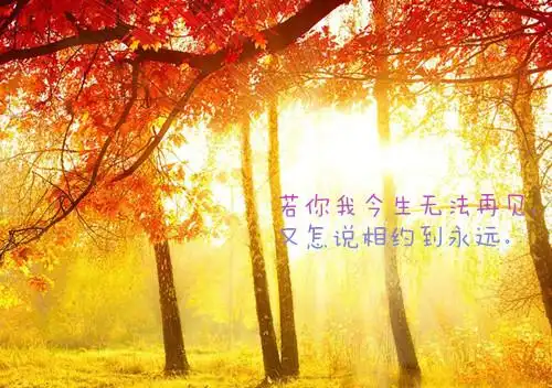 唯美漂亮的风景带字图片_美到令人窒息的风景