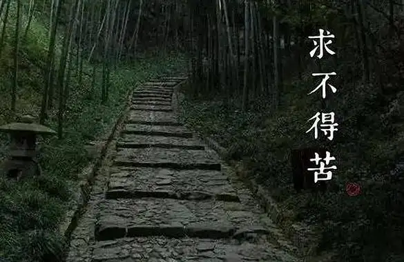 佛说人生有八苦,苦到底是怎么来的,一定要清楚