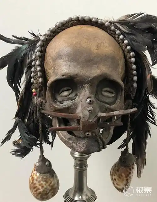 ins竟成线上黑市死人头被当艺术品贩卖2000块一颗我都吓哭了