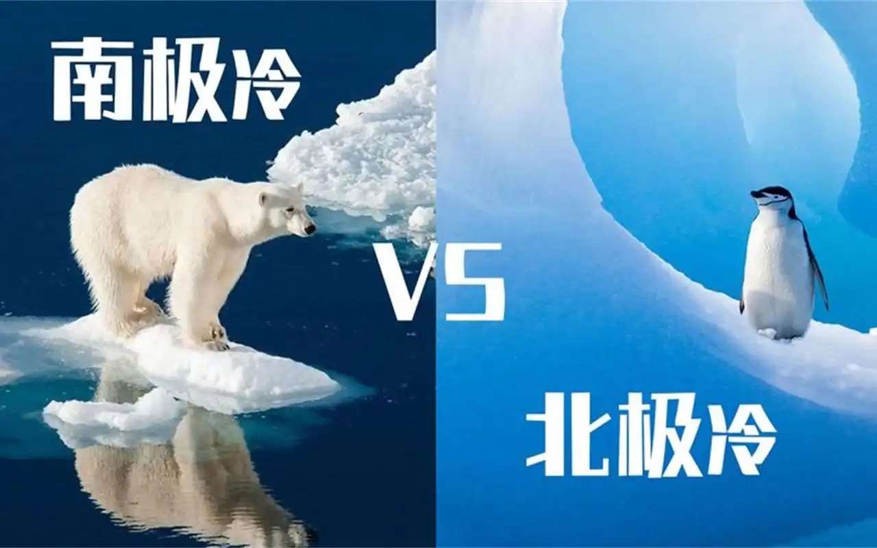 南极和北极哪个更冷一些?你知道吗?