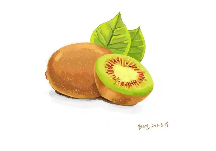 猕猴桃手绘|插画|插画习作|墨菲是曹 - 原创作品 - 站酷 (zcool)