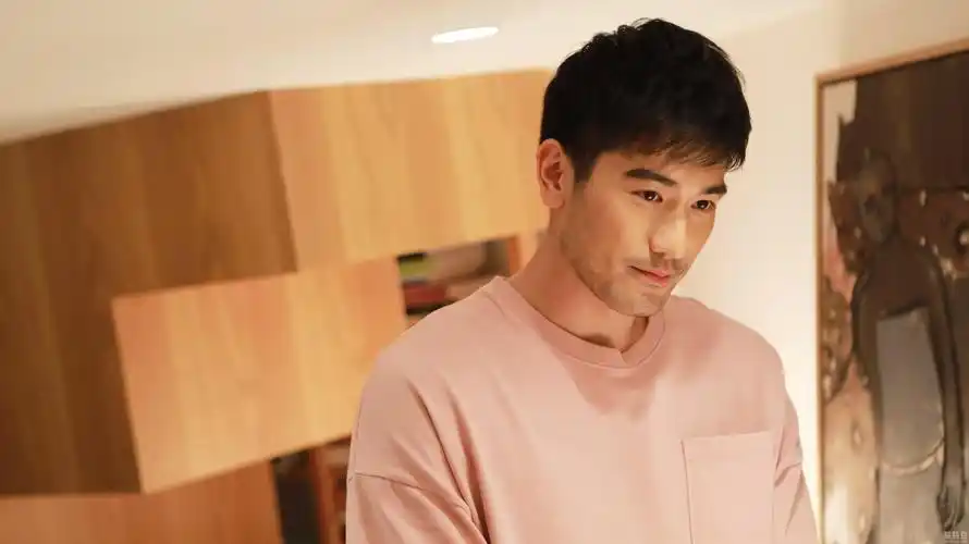 高以翔《彩虹的重力》网友:好惨一男主