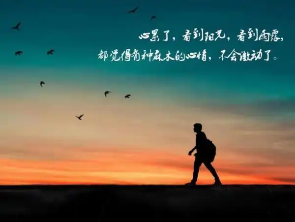 突然莫名的伤感说说 只是我忘了,感情这事由不得人