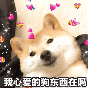 抖音新年情侣必备超甜表情包