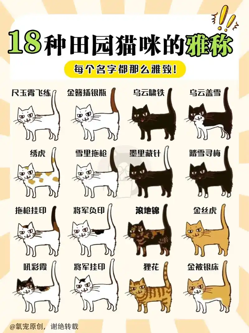 18种田园猫咪的雅称|每个名字都很雅致79.