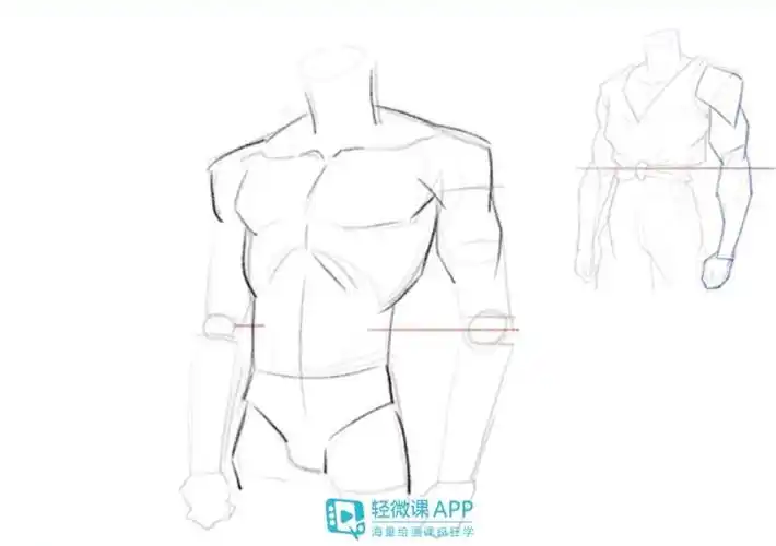 人体体块的肌肉画法分享