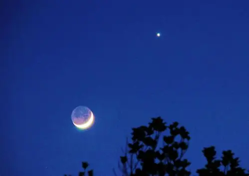 月亮代表我的心